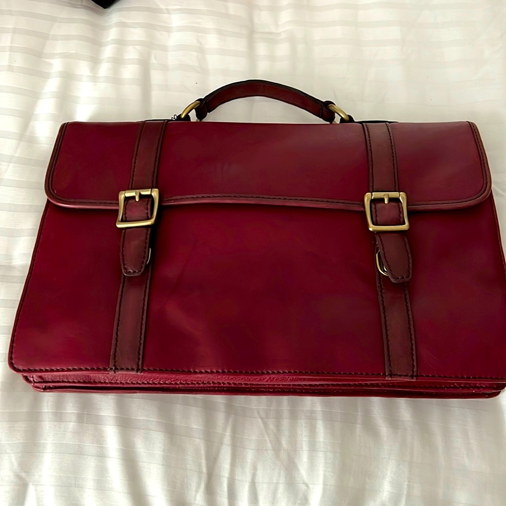 Brand new Fossil Brief